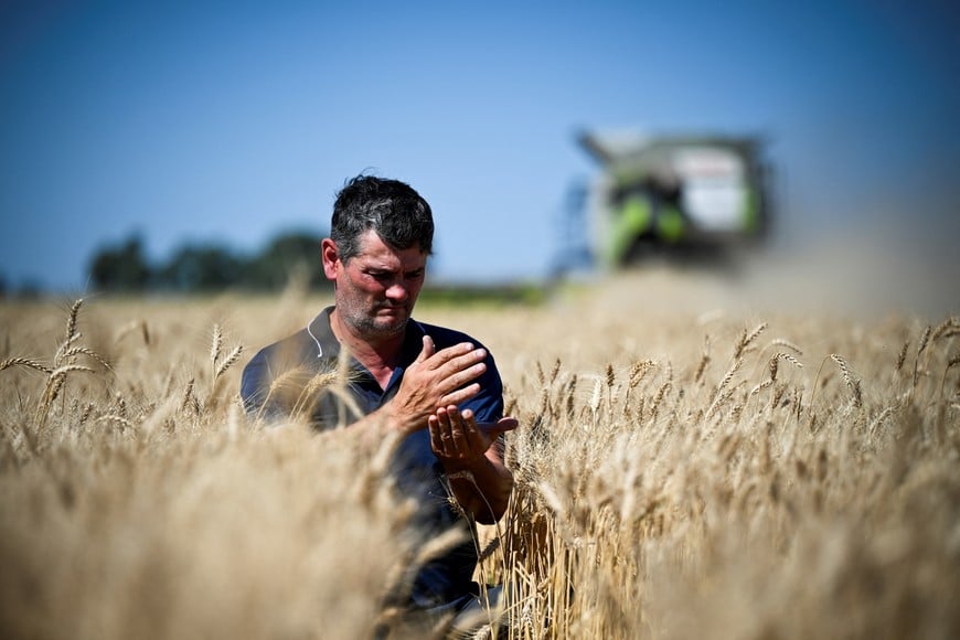 Farmer Diego Ugrotte looks at wheat grains during harvest, as the country's major grain exchanges forecast a record 2025/26 wheat crop for Argentina, one of the world's top grain suppliers, in Benito Juarez, Argentina, December 26, 2025. REUTERS/Martin Cossarini