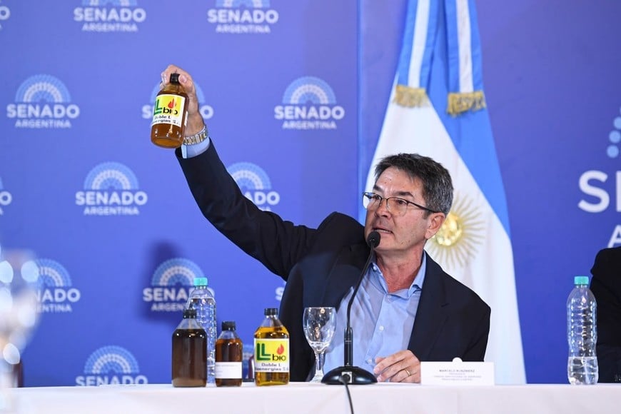 Marcelo Kuszniers, de la Cámara de Energías Renovables de Santa Fe, expuso en comisiones del Senado.