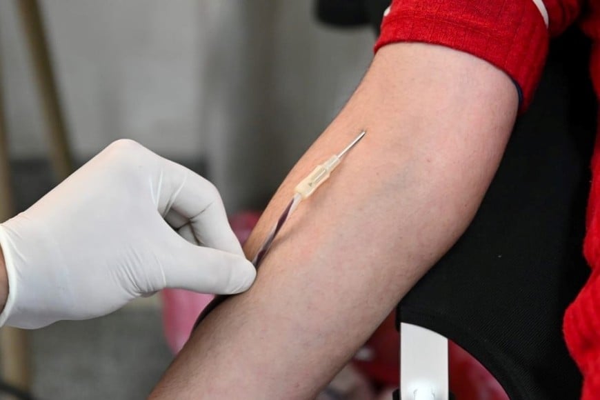 El desafío de hacer crecer la donación voluntaria