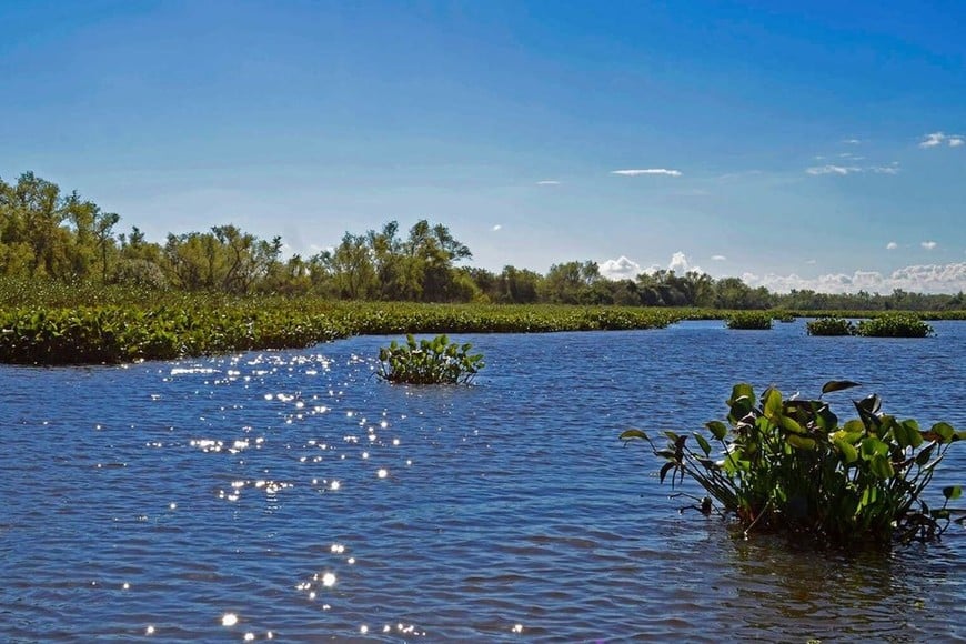 Archivo El Litoral