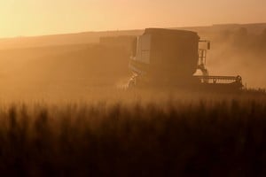 La soja registra el menor nivel de ventas con precio fijado en tres décadas.