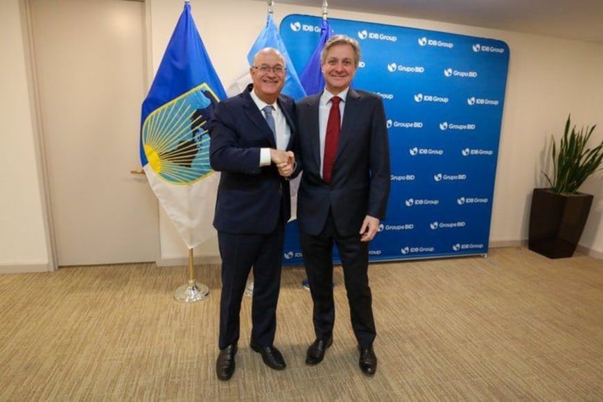 Goldfajn daza