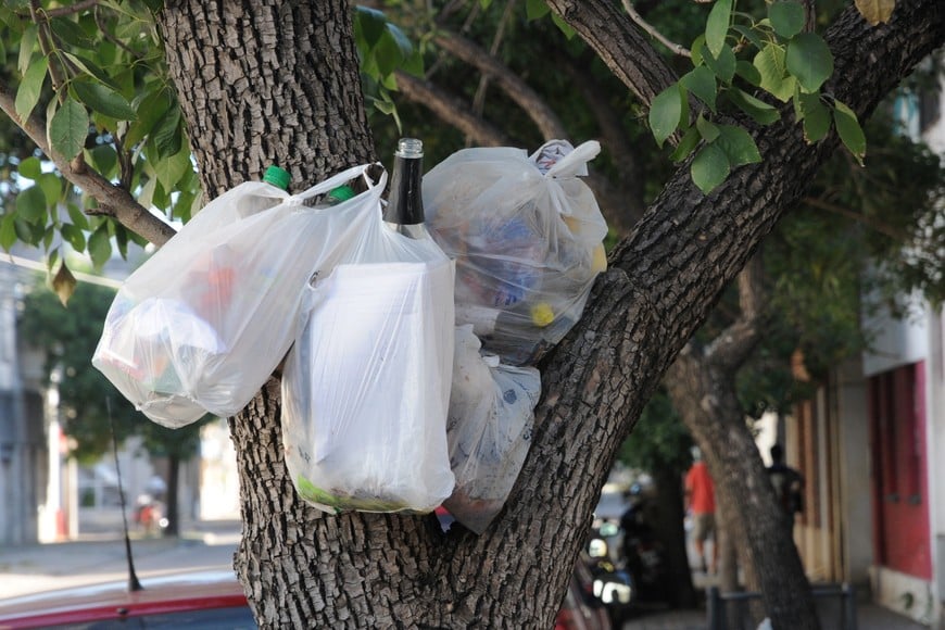 La basura en la vereda, sin recolección.
Flavio Raina.