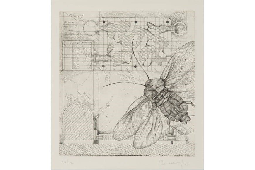 "Sin título (mosca)" de Luis Fernando Benedit. Foto: Galería Jacques Martínez