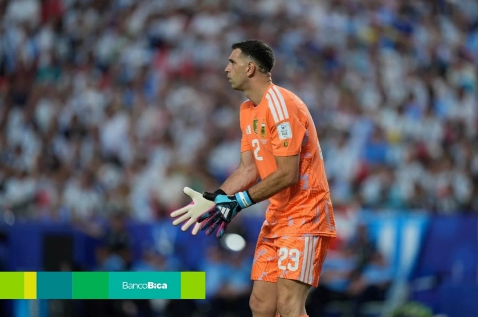 Las fotos de El Litoral en una noche histórica: Argentina le ganó 3-0 a Argelia.
