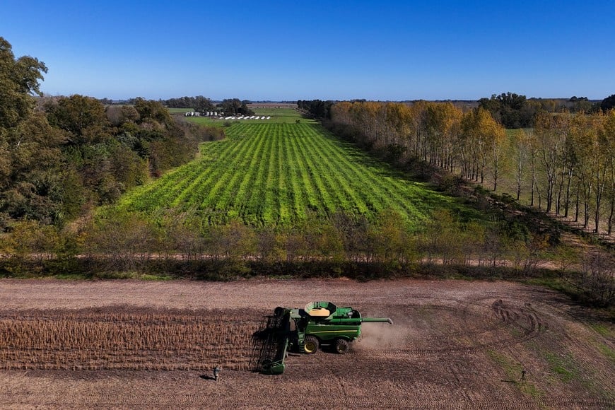 A drone view shows a harvester working in a soybean plantation in San Andres de Giles, on the outskirts of Buenos Aires, Argentina, May 12, 2025. REUTERS/Martin Cossarini