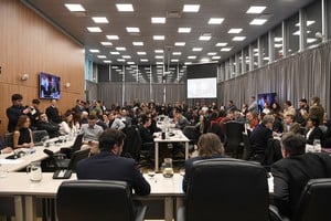 Un plenario de las Comisiones de Presupuesto y Hacienda, Industria, Ciencia, Tecnología e Innovación Productiva le dio dictamen de mayoría al proyecto de Súper RIGI. Foto: HCDN.