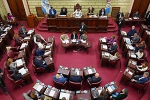 La inquietud tiene el dictamen respectivo de la Comisión de Presupuesto. Crédito: Cámara de Diputados de Santa Fe