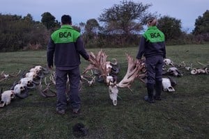 El establecimiento no contaba con habilitación.