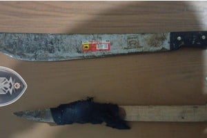 Las armas incautadas al violento sujeto que fue arrestado. Foto: El Litoral