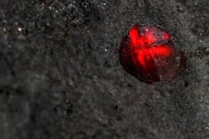 Abre nuevas líneas de investigación sobre la composición