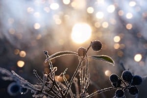 El invierno astronómico comenzó este domingo 21 de junio a las 5.24