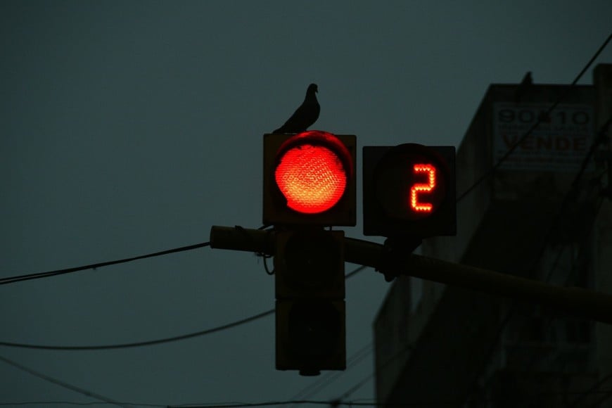 También, para las unidades de la red semafórica de la capital. Foto: Guillermo Di Salvatore