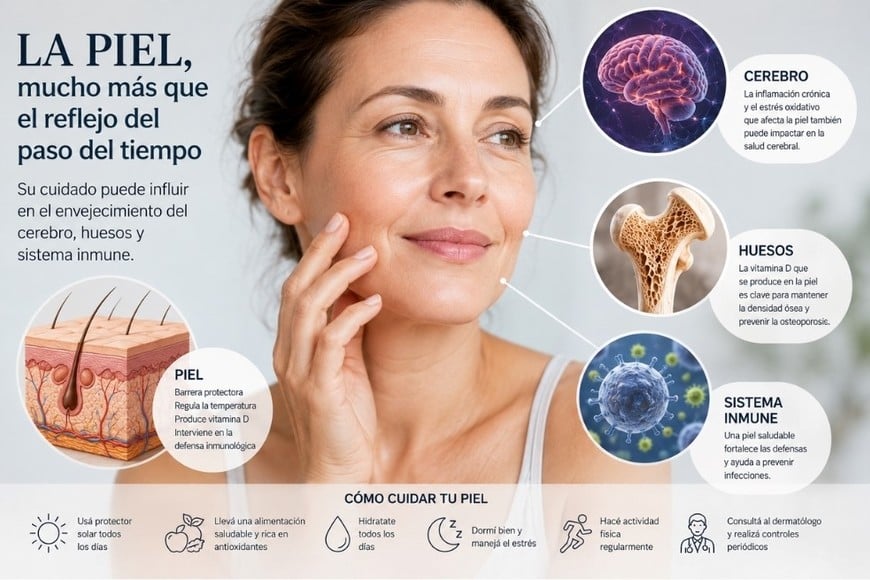 Cuando envejece de manera acelerada, también puede estar reflejando cambios biológicos que ocurren en otros órganos.