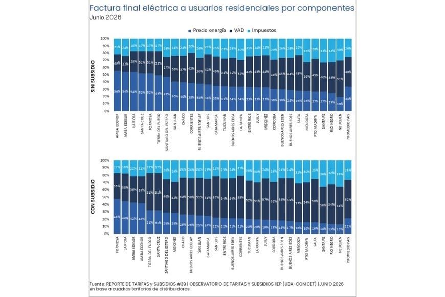 Factura final eléctrica a usuarios residenciales por componentes - junio 2026. Crédito: UBA - CONICET.