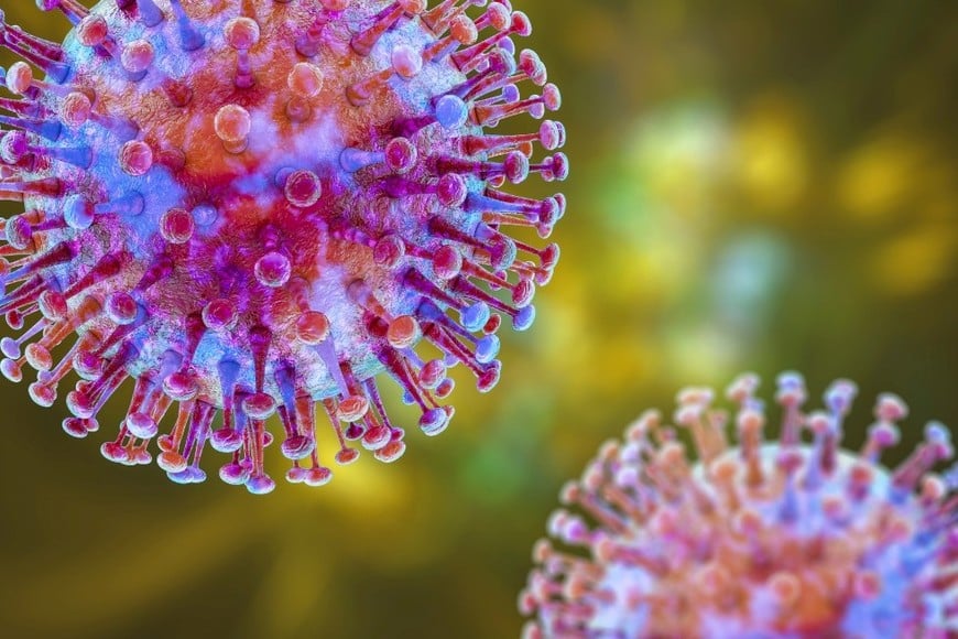 Los equipos epidemiológicos trabajan para determinar el posible origen del contagio