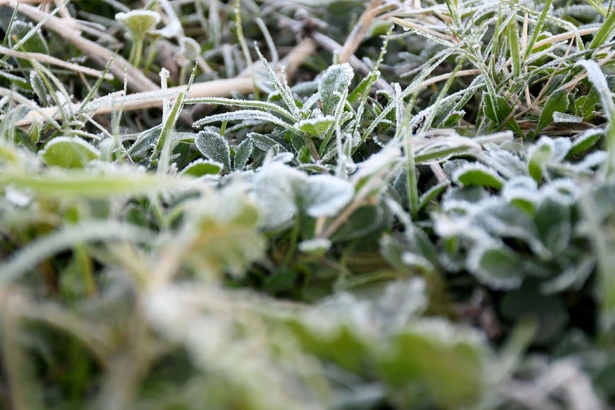 clima Frio Créditos: Flavio Raina