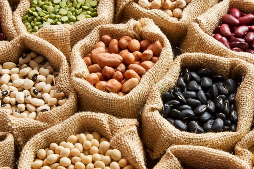 No existe una “dieta única” para todos los pacientes, pero sí patrones alimentarios que suelen ser recomendados