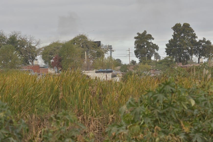 Un rancho entre los yuyos, en el bañado de los reservorios del oeste de la ciudad. Fernando Nicola. Archivo.