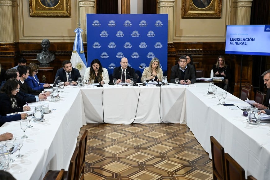 sturzenegger senado