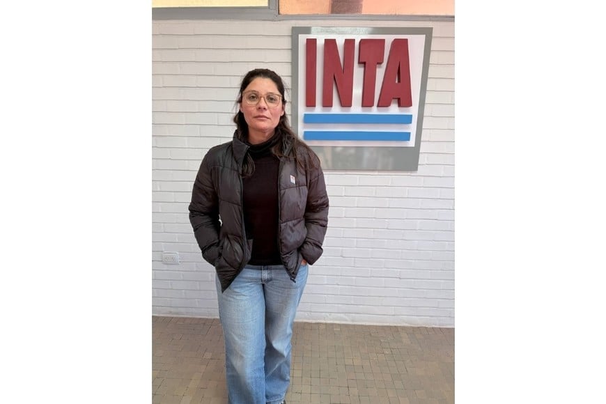 INTA