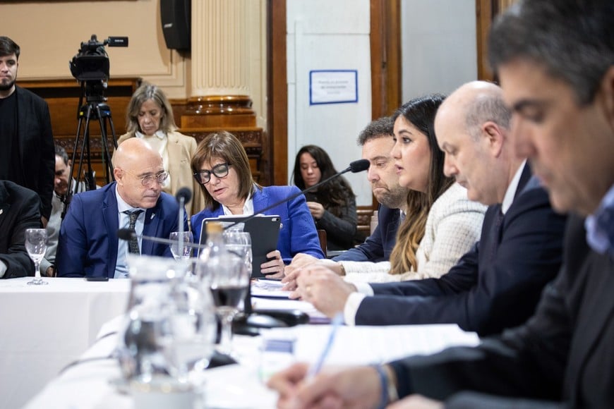 sturzenegger senado