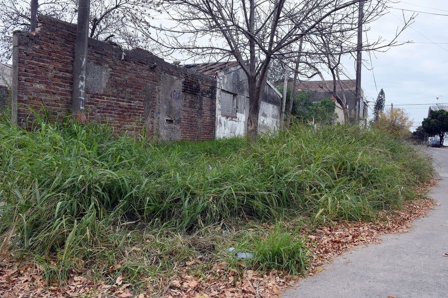 Casa abandonada en Pasaje Hudson y calle 9 de julio. Foto: Guillermo Di Salvatore