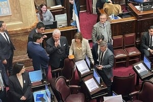 Sin reunir los votos necesarios para su tratamiento, el proyecto de Ley de Inviolabilidad de la Propiedad Privada quedó en suspenso en la última sesión del Senado. Ahora volvería al recinto el 6 de agosto. Foto: Archivo.