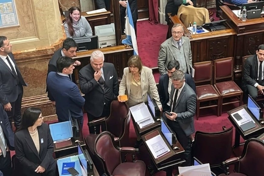 Patricia Bullrich este jueves en el recinto del Senado.