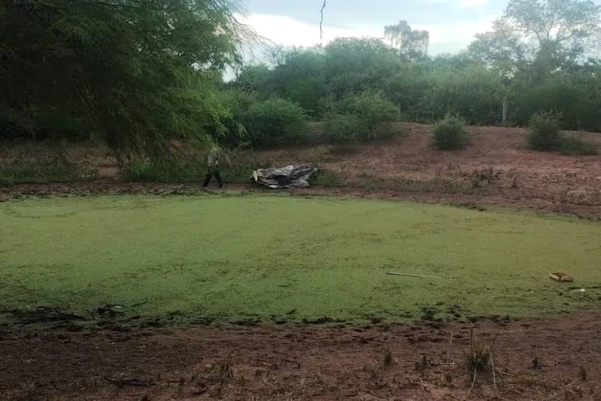 Los restos óseos fueron encontrados en un paraje ubicado en el departamento Rivadavia