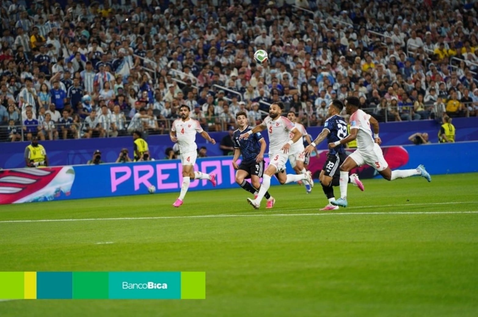 Galería BICA: Argentina-Jordania