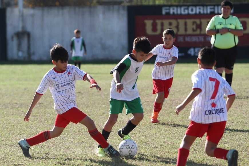 Desde muy chicos. Pucará y su historia con la formación de jugadores. Gentileza.