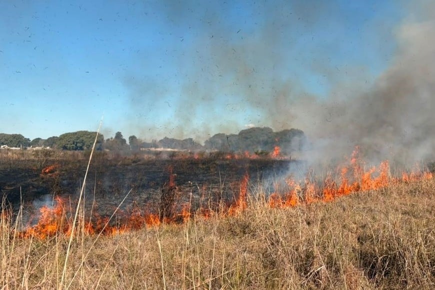 Los bomberos usaron agua y azotadores para extinguir las llamas. Foto: El Litoral