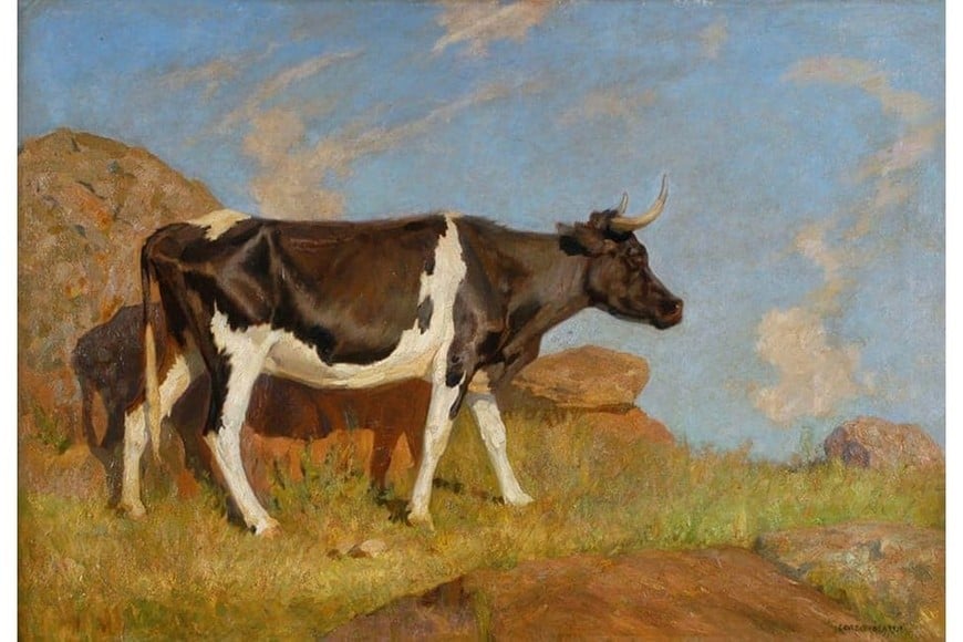 Vaca overa. Foto: Zurbarán