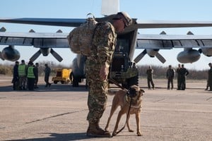 Se suman además dos binomios perro-guía pertenecientes a la brigada certificada USAR del Ejército Argentino.