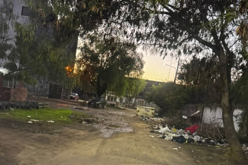 Mal estado de las calles y basura