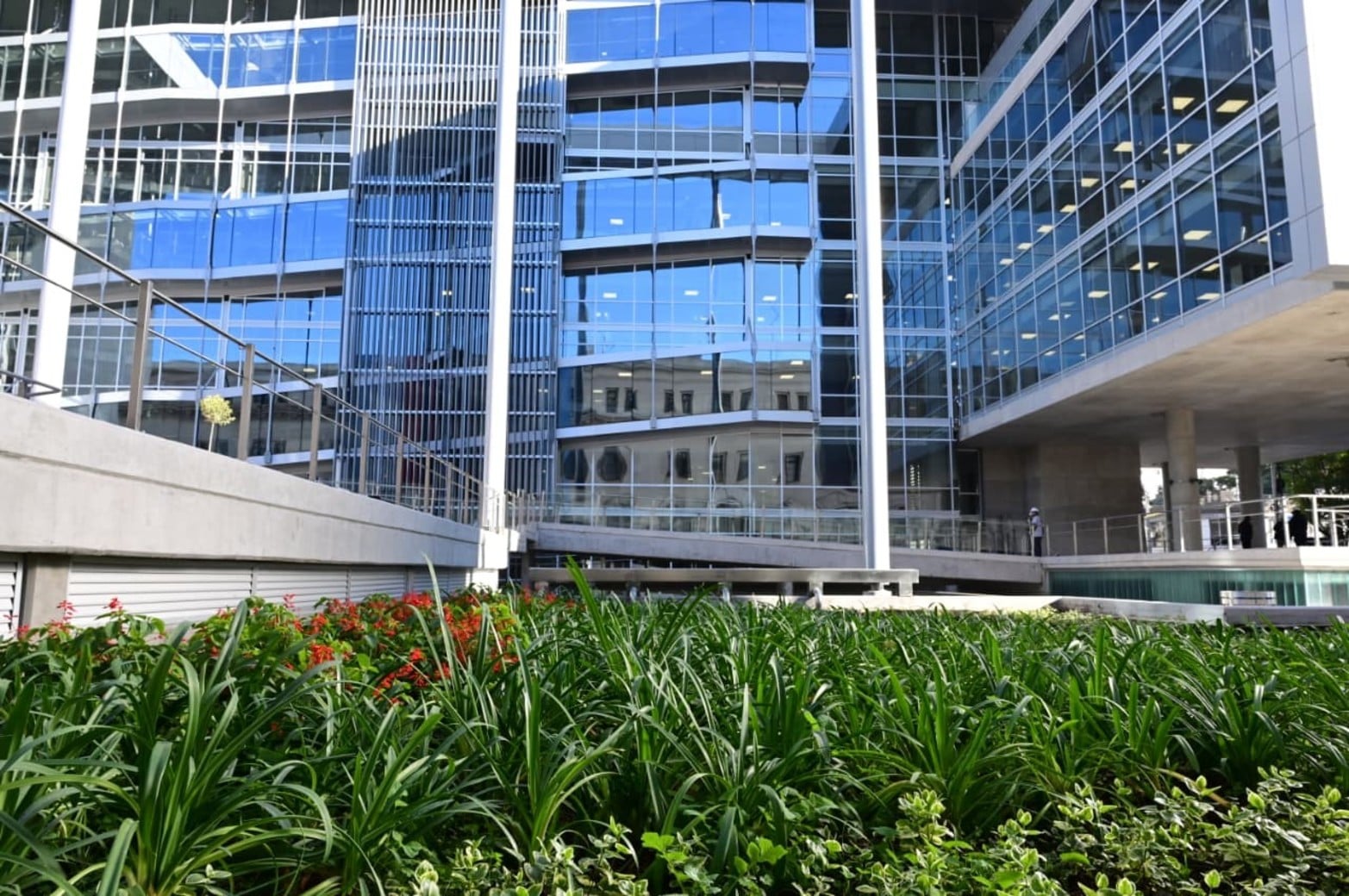 El espacio verde del nuevo edificio de los Tribunales de Santa Fe