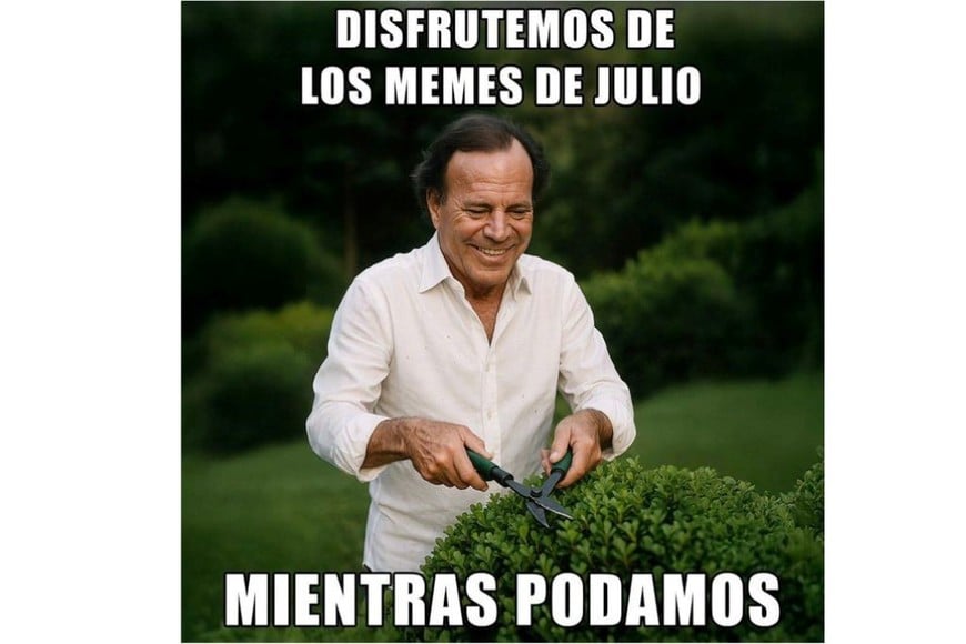 Los usuarios volvieron a combinar clásicos, montajes y juegos de palabras con el nombre de Julio.