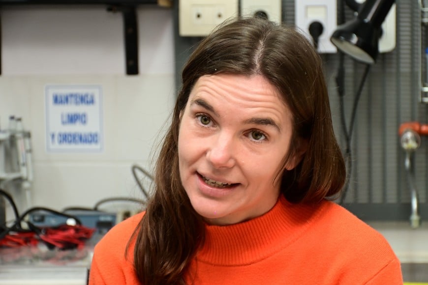 Mariángeles Briggiler, Ingeniera en Alimentos y Doctora en Ciencias Biológicas, Investigadora Independiente de CONICET en el INLAIN. Crédito: Flavio Raina