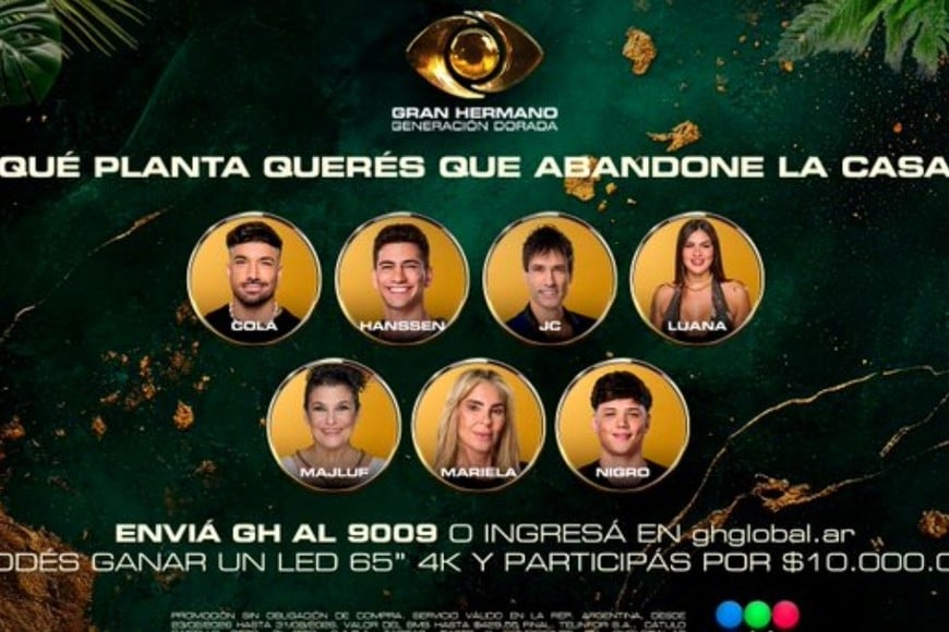 La gala de eliminación volvió a poner a varios participantes bajo la decisión de los televidentes