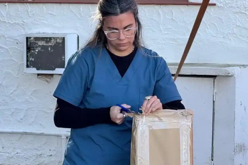 Personal de salud participó de la apertura de los sobres.