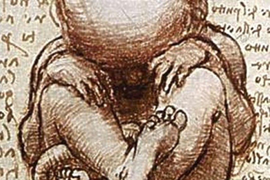 Da Vinci tenía un profundo conocimiento de la anatomía humana. El tierno dibujo de un feto, con sus dulces piecitos cruzados, exhalando vida propia en cada línea, nos hace pensar que no estaría de acuerdo con el aborto.