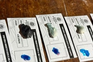 Se secuestraron dosis de cocaína y marihuana. Foto: Gentileza