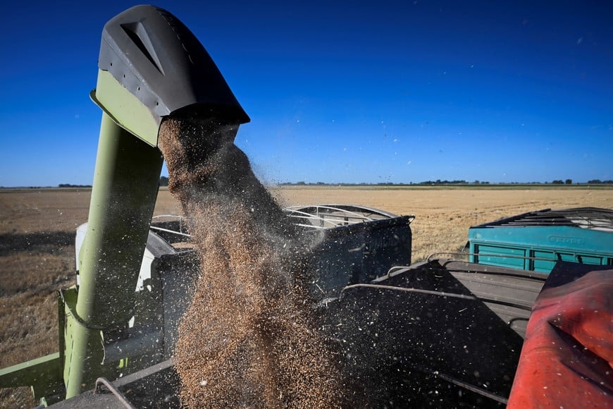 Wheat is harvested, as the country's major grain exchanges forecast a record 2025/26 wheat crop for Argentina, one of the world's top grain suppliers, in Benito Juarez, Argentina, December 26, 2025. REUTERS/Martin Cossarini