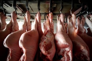 Las ventas externas de carne porcina se dispararon en 2026 y superaron los 10 millones de dólares