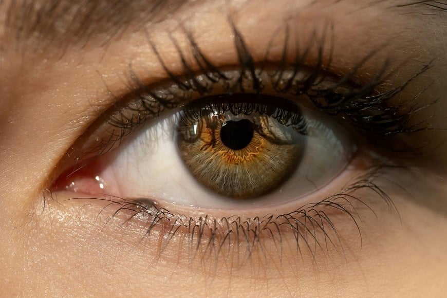 El color de los ojos es un rasgo hereditario influido por varios genes.