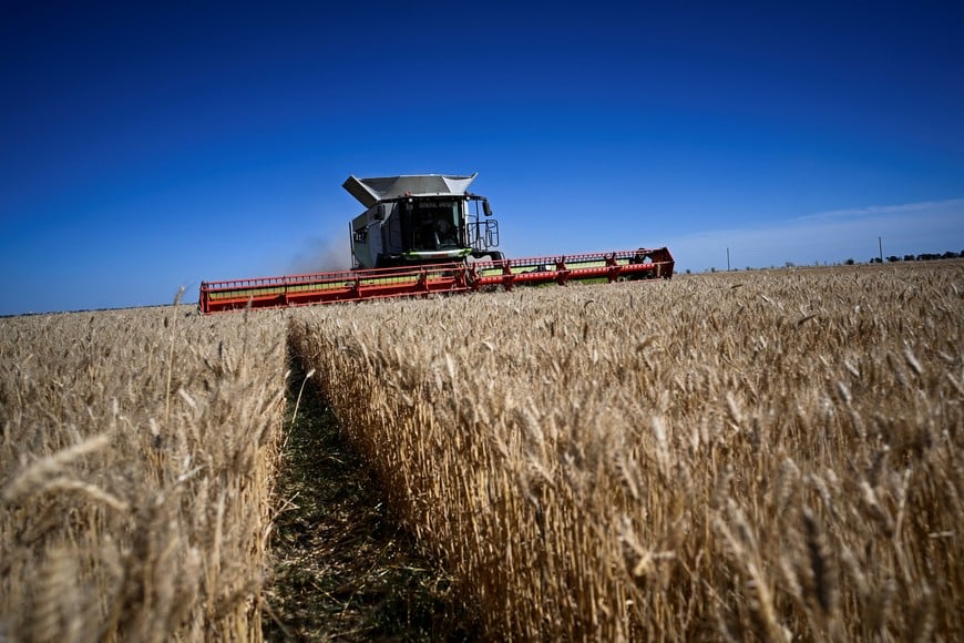 A farmer harvests wheat, as the country's major grain exchanges forecast a record 2025/26 wheat crop for Argentina, one of the world's top grain suppliers, in Benito Juarez, Argentina, December 26, 2025. REUTERS/Martin Cossarini