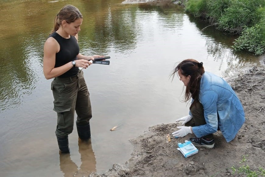 Las investigadoras del equipo Ana Paula Cuzziol y Paola Peltzer tomando muestras. Gentileza.
