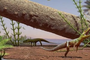 Los restos corresponden a un animal que habitó la Tierra durante el Triásico Medio. Foto: SCI News.