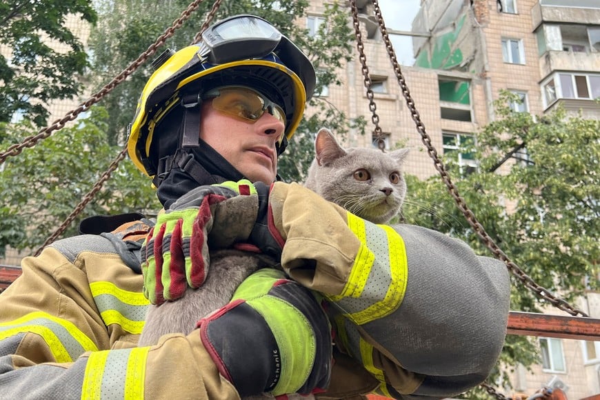 A rescuer holds a cat, whose name is Bonia, found under debris in the apartment building hit by yesterday's Russian missile strike, amid Russia's attack on Ukraine, in Kyiv, Ukraine July 7, 2026. REUTERS/Sergiy Karazy